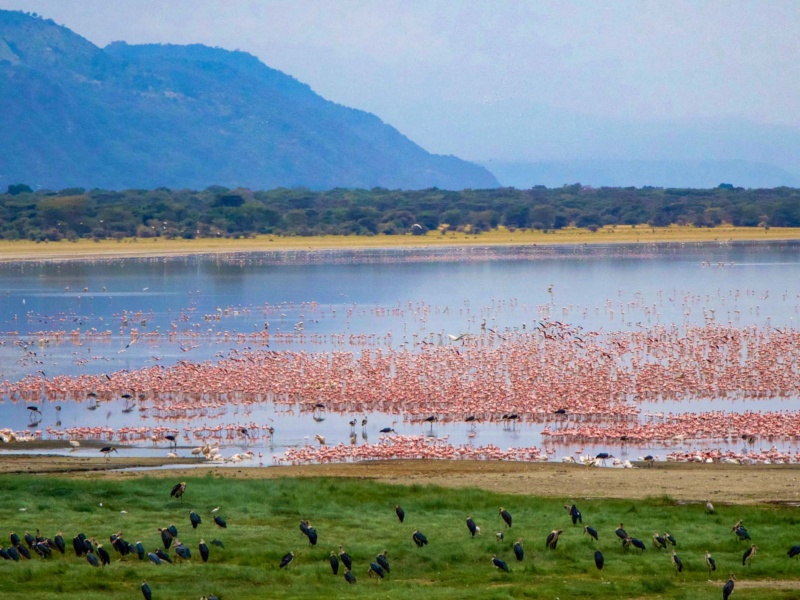 Lake Manyara National Park