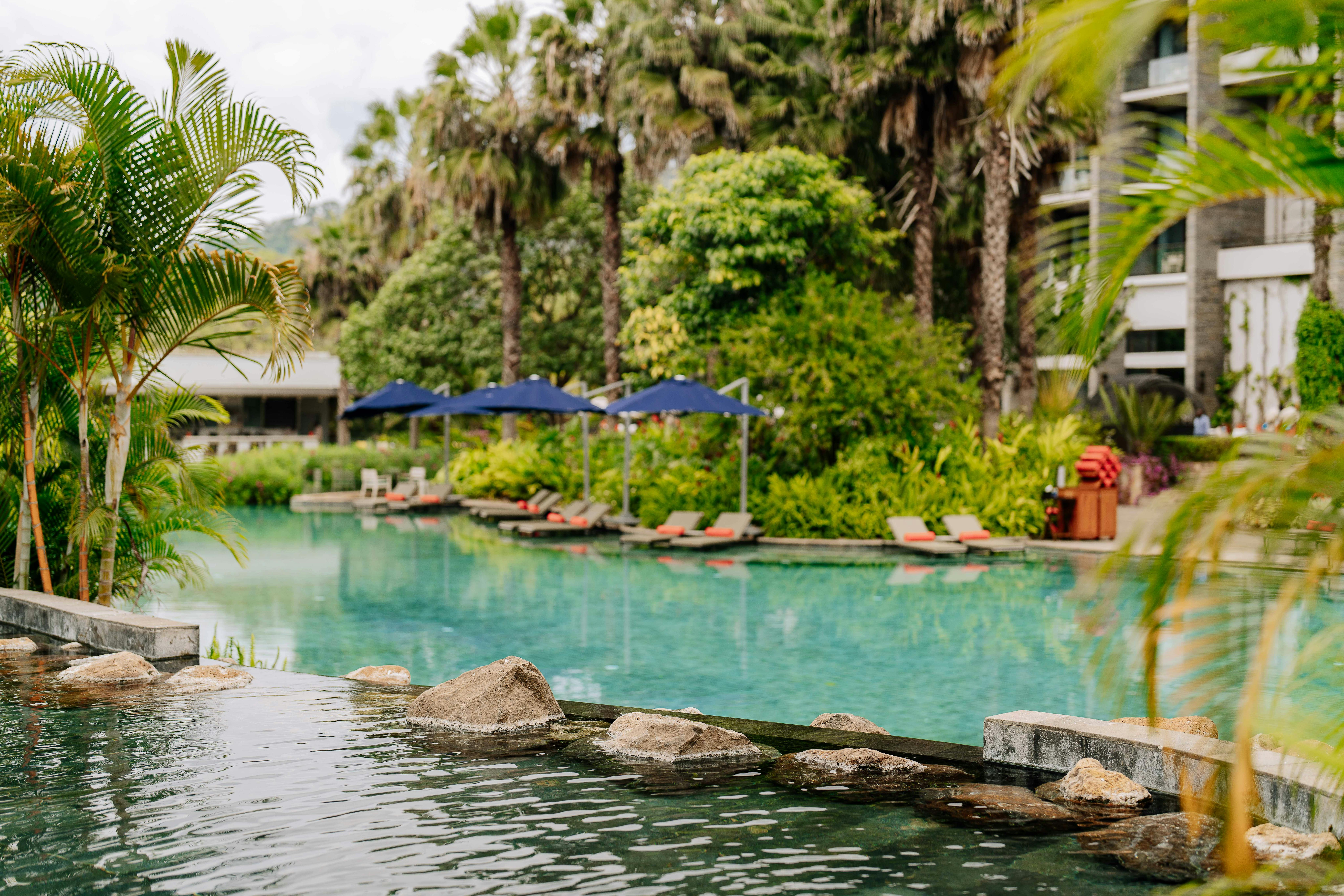 Day 1 - Tarangire day safari