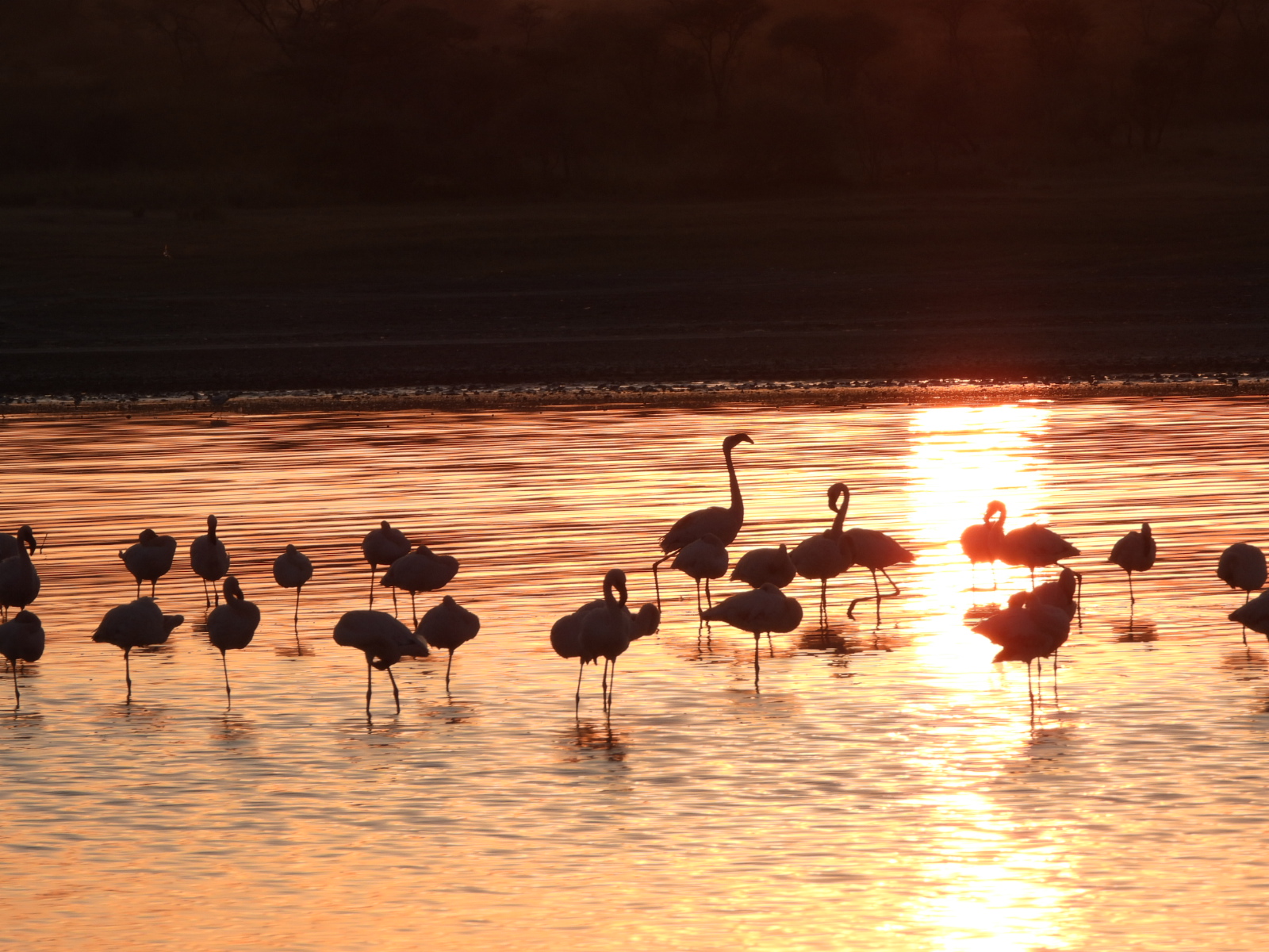 Day 1 - Arrival – Arusha