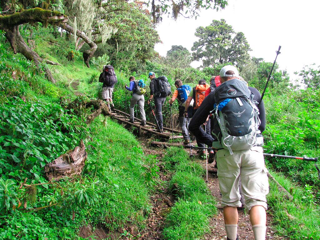 Day 1 - Day 1: Arrival in Arusha – Gateway to Mount Meru