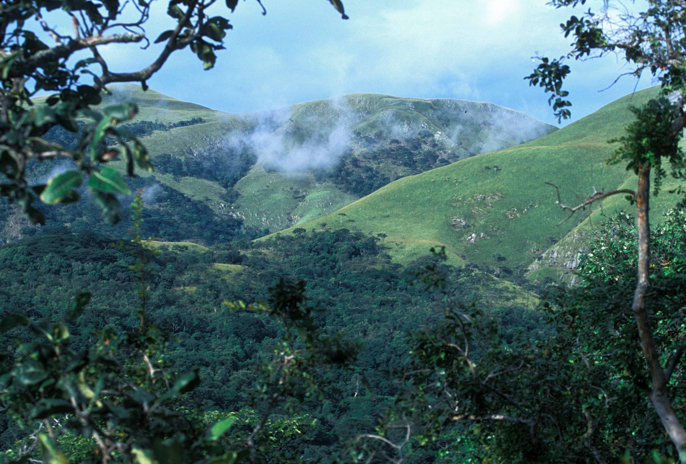 Day 1 - Arrival in Kigoma & Boat Transfer to Gombe