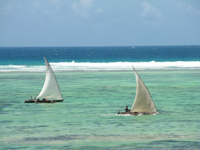 Zanzibar Beach Holiday Safari: 5 Days of Sun, Sand & Serenity