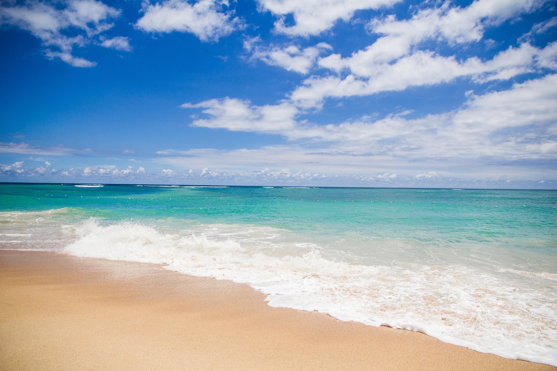 Zanzibar BeSafari: 10 Days of Island Serenity & Wild Splendor