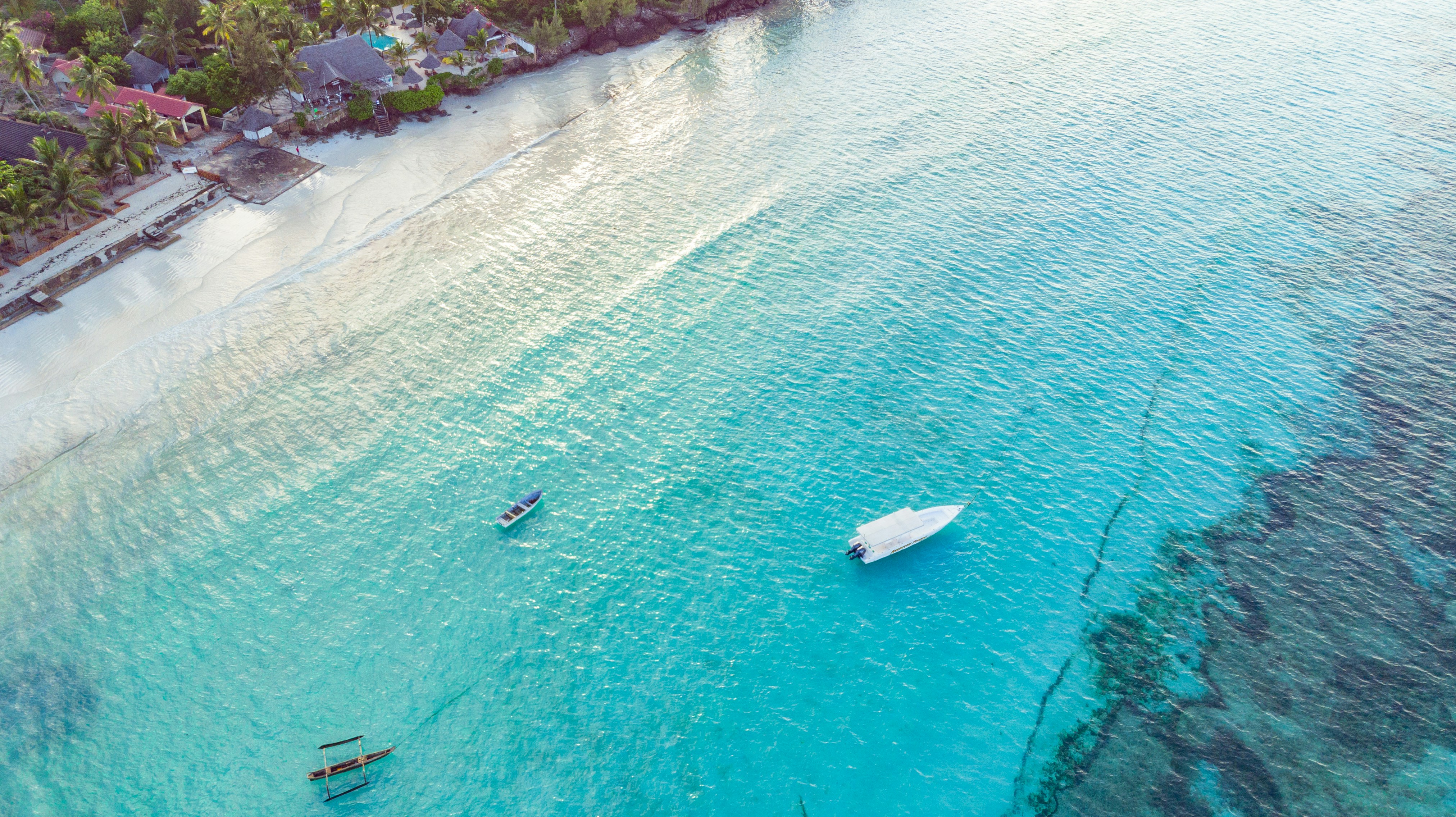 Zanzibar BeSafari: 3 Days of Coastal Bliss & Wild Encounters