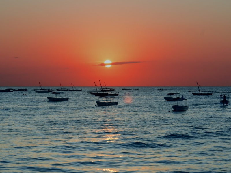 Zanzibar Beach Safari: 3 Days of Coastal Bliss & Wild Encounters