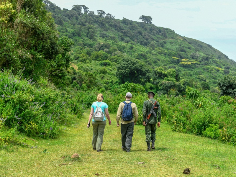 Tanzania Walking Safari: 4 Days of Footsteps in the Wild