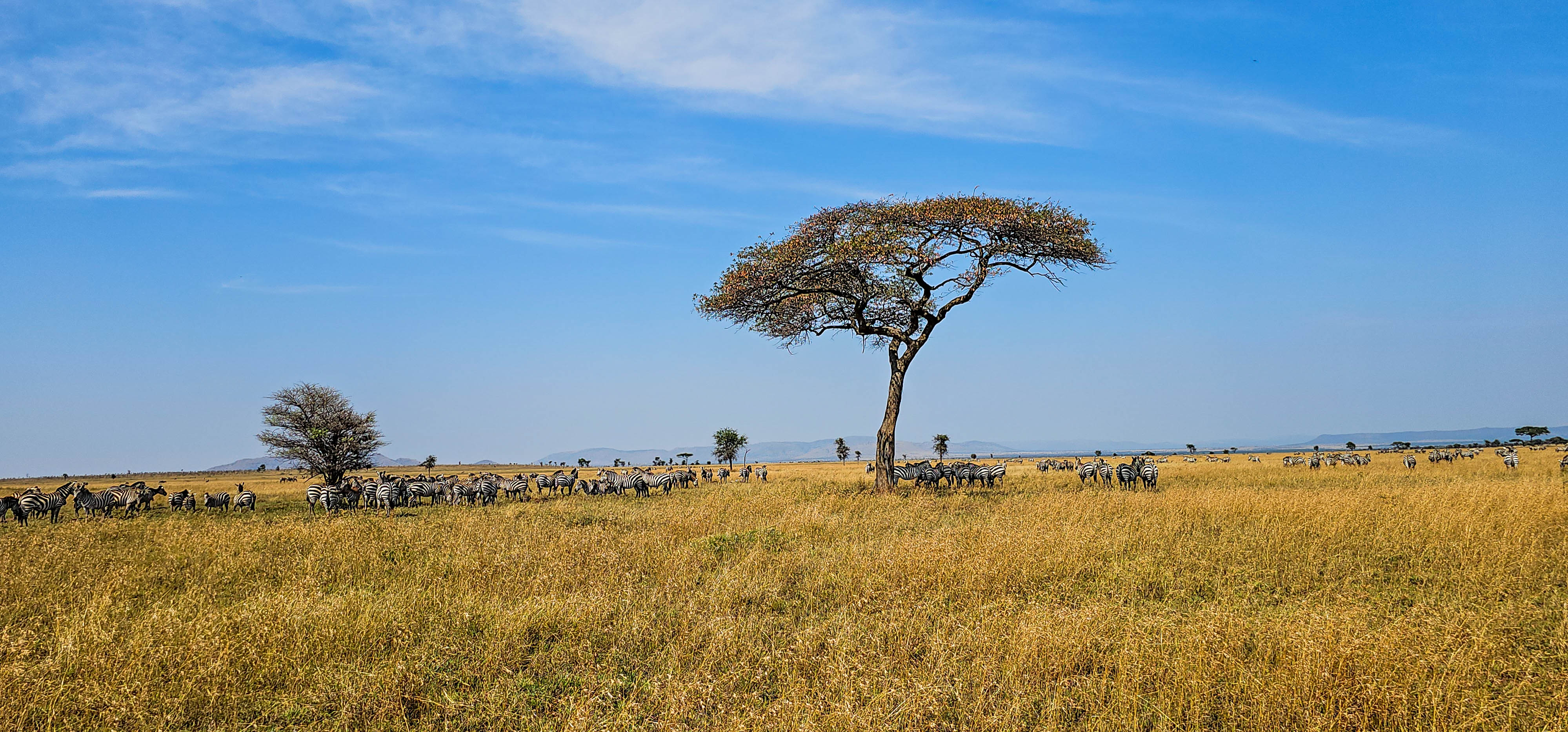7-Day Super Great Migration Tanzania Safari – River Crossing