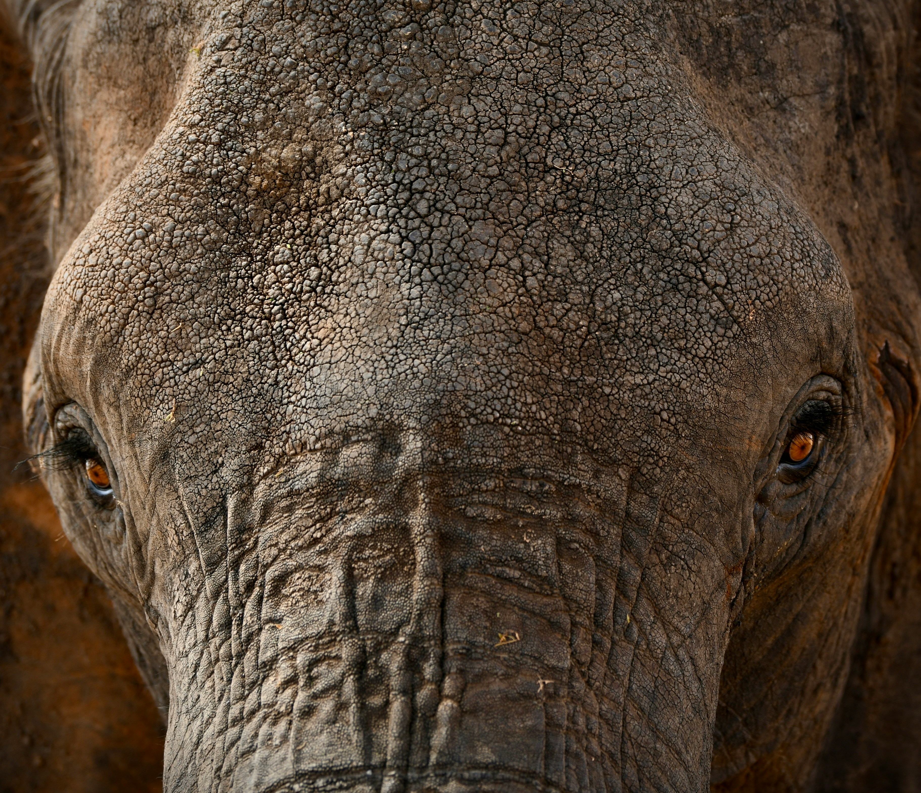 8-Day Tanzania Photography Safari
