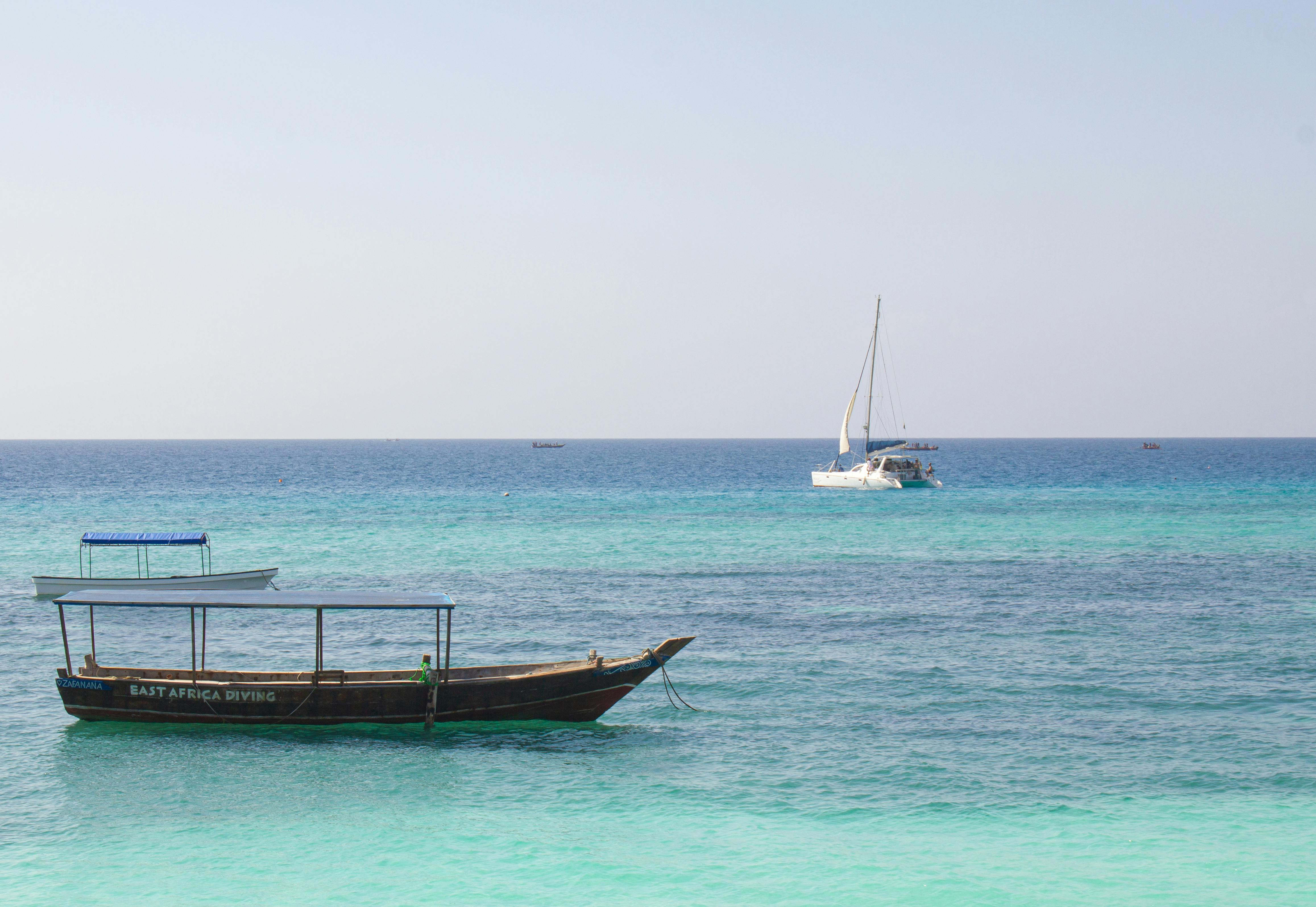 Zanzibar to Northern Tanzania Safari: 5 Days of Coastal Charm & Wild Adventure