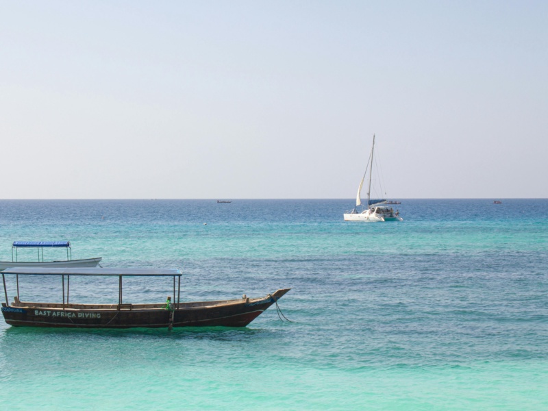 Zanzibar to Northern Tanzania Safari: 5 Days of Coastal Charm & Wild Adventure
