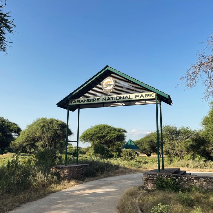 A Day in Lake Manyara – Wildlife, Nature & Stunning Landscapes