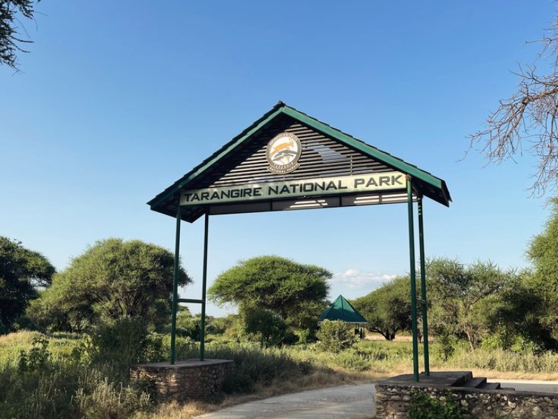 A Day in Lake Manyara – Wildlife, Nature & Stunning Landscapes